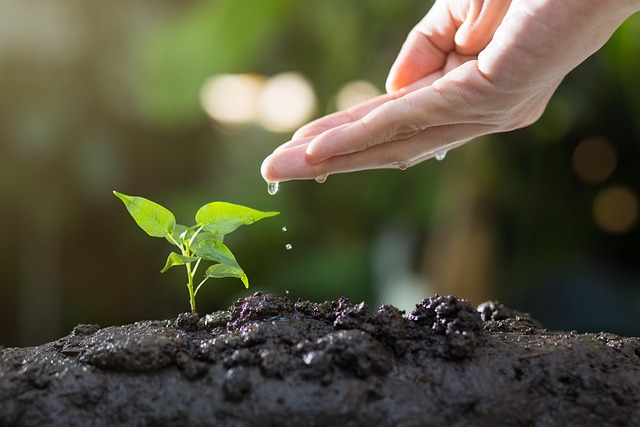 The Basic Outline for Your Website and Marketing Material